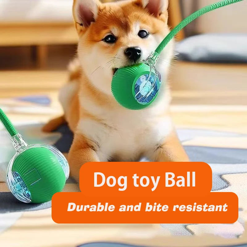 Smart Interactive Ball Toy for Dogs