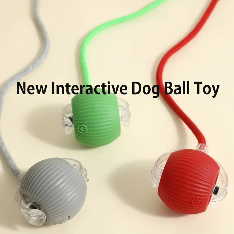 Smart Interactive Ball Toy for Dogs