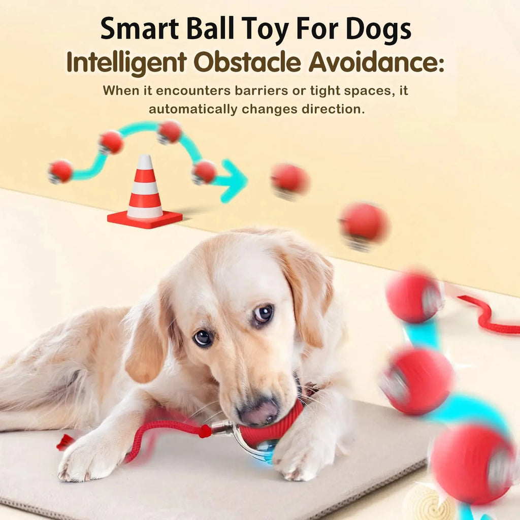 Smart Interactive Ball Toy for Dogs